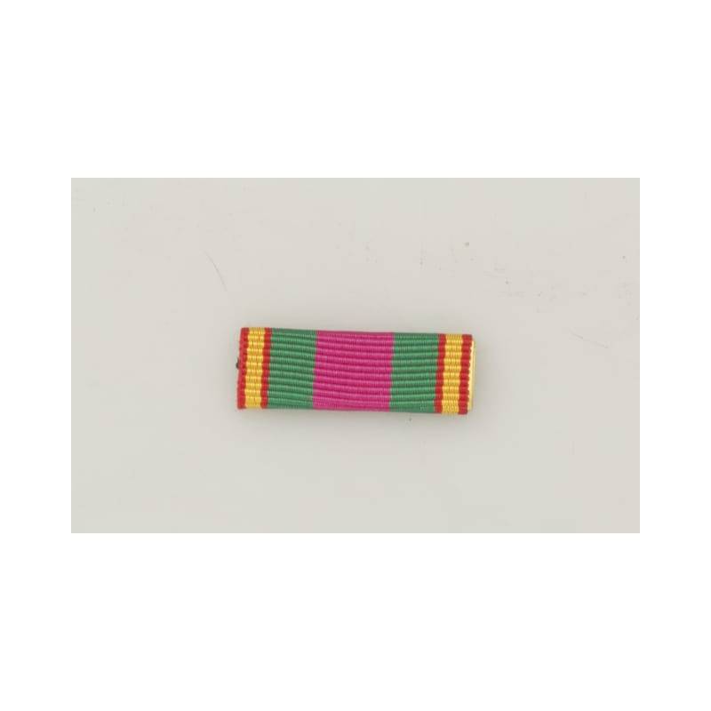 Pasador de Dedicación policial