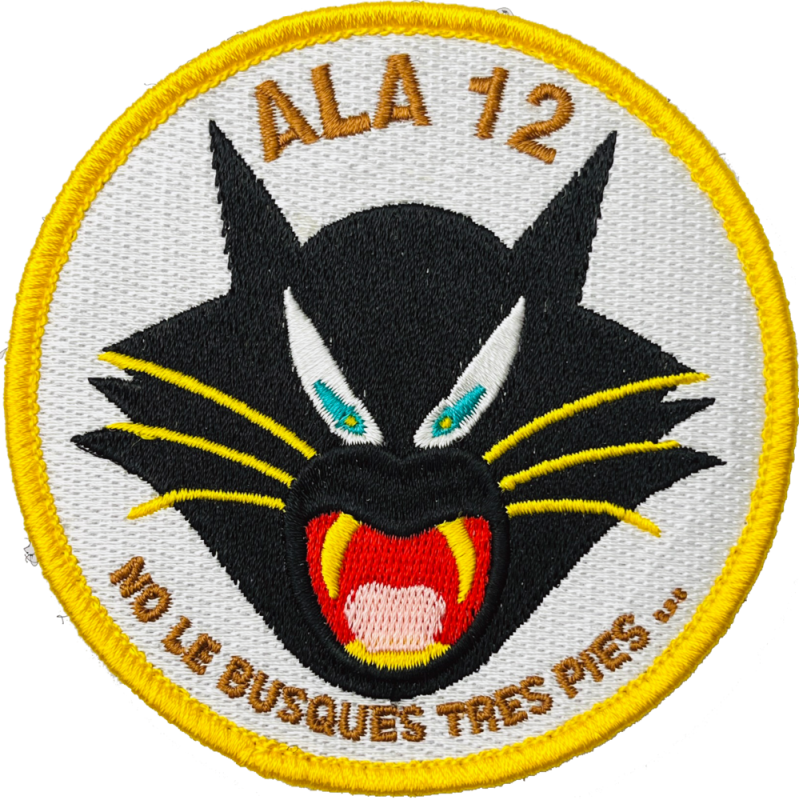 Parche bordado Ala 12